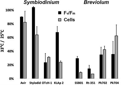 Alternative Photosynthetic Electron Transfers and Bleaching Phenotypes Upon Acute Heat Stress in Symbiodinium and Breviolum spp. (Symbiodiniaceae) in Culture